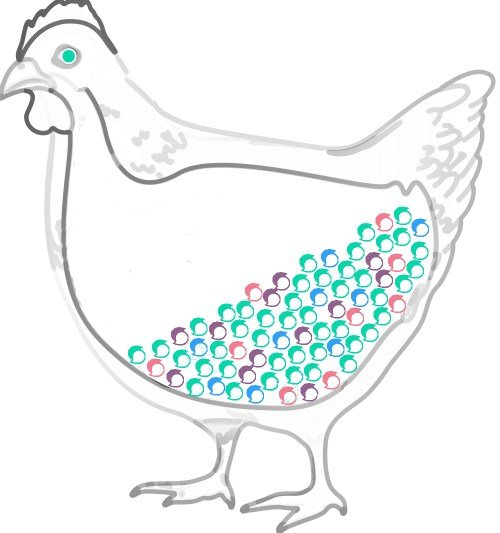 chicken_steemit2.jpg