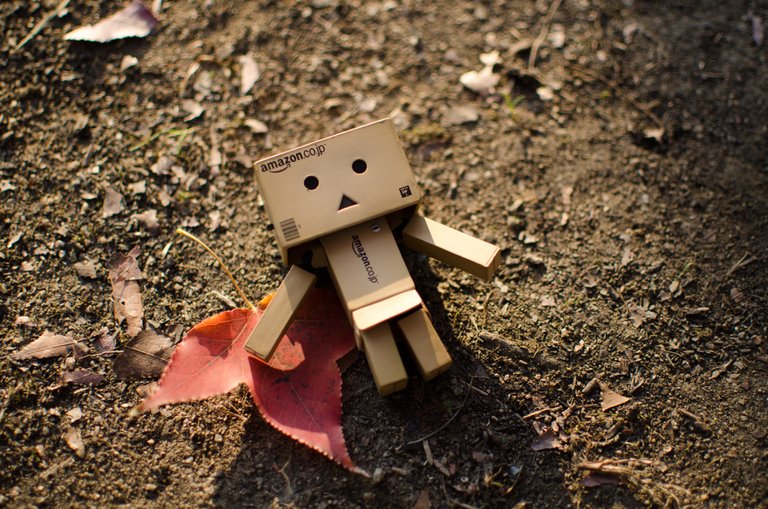 autumn-leaf-cardboard-cute-176842.jpg