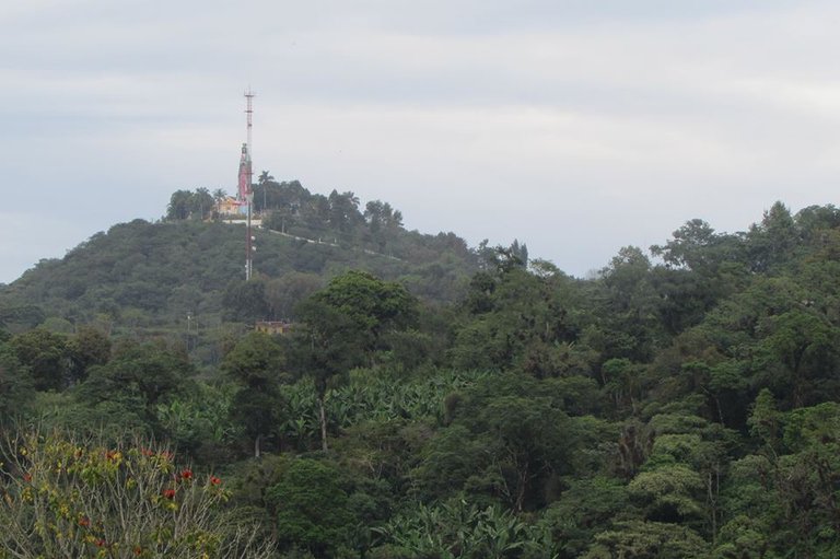 vista desde la casa parte de atras.jpg