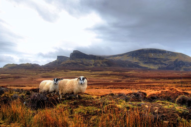 Mountains of Skye.jpg