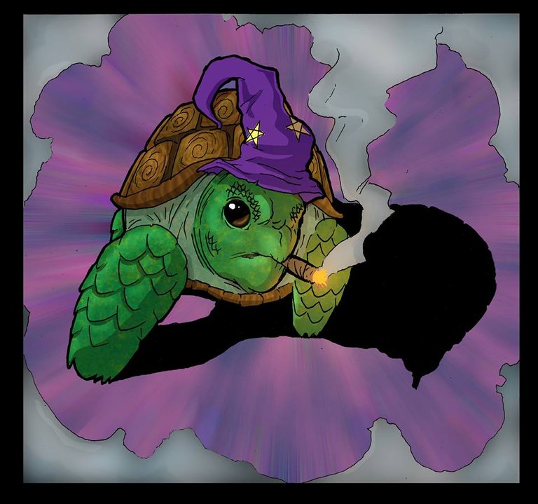 turtle.jpg