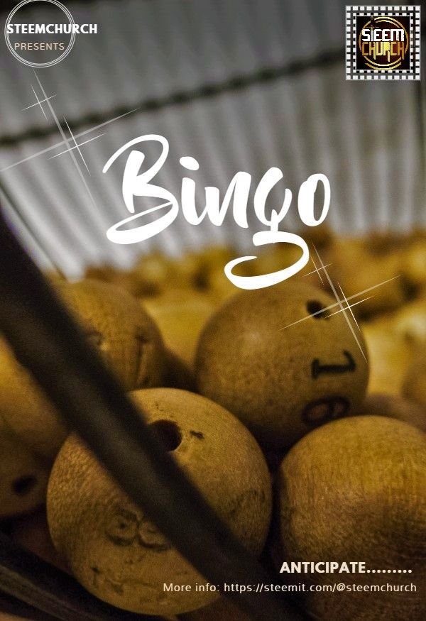 Copy of Bingo Flyer Template (2).jpg