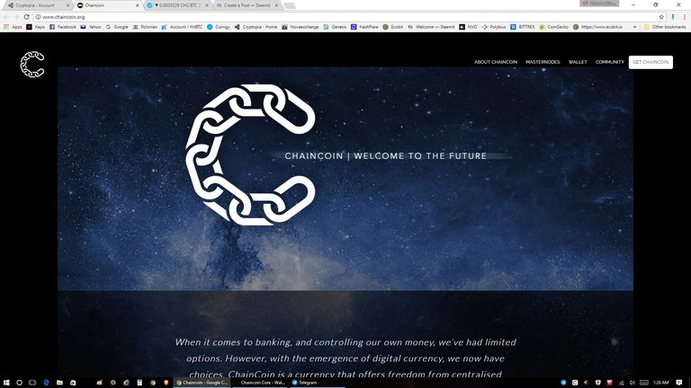 CHAINCOIN - WELCOME TO THE FUTURE.jpg