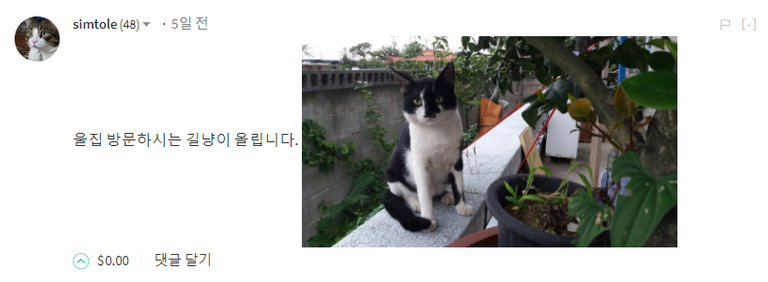 이미지 26.png