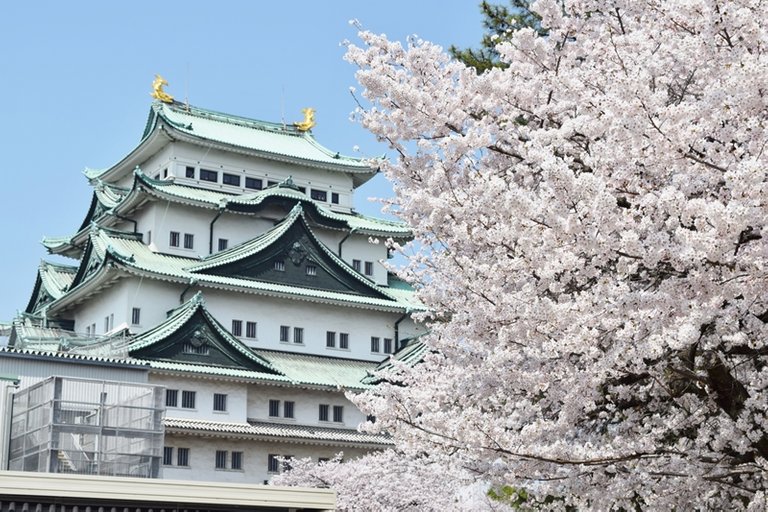 城（名古屋城）.jpg