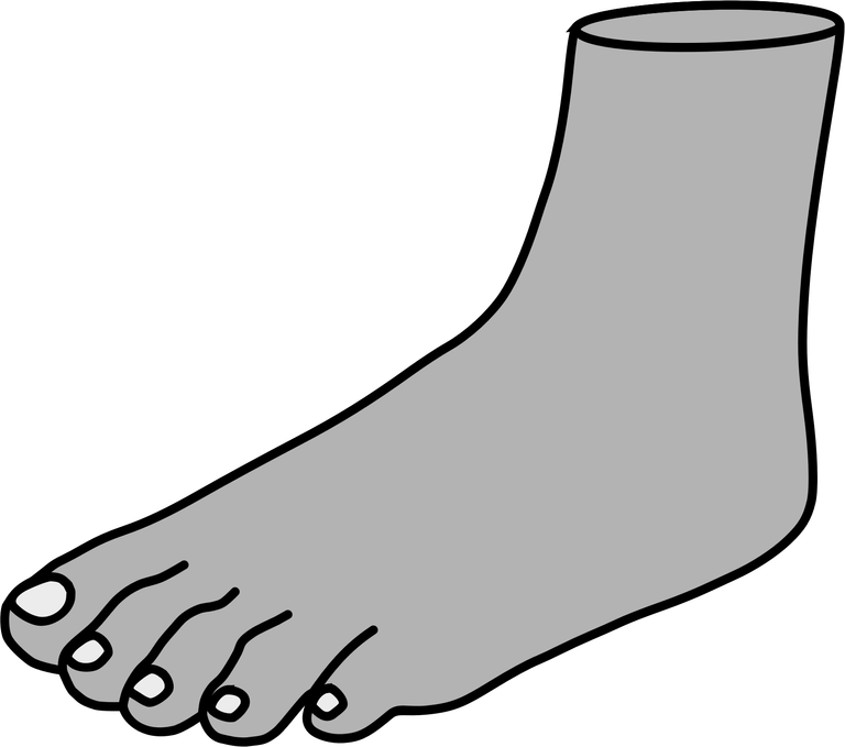 Foot.png