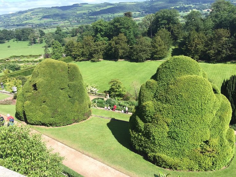 Powis Castle and Garden, Welshpool (6).jpg