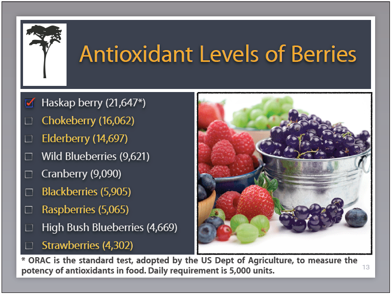 haskap berries antioxidants.png