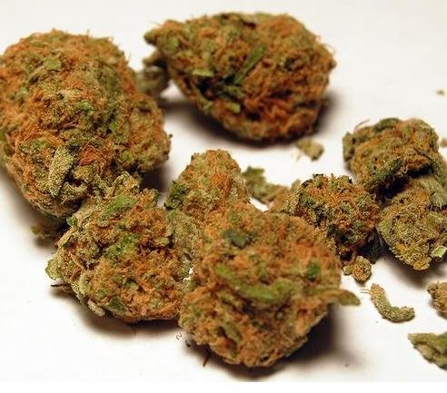 afghan-kush-marijuana-strain-2.jpg