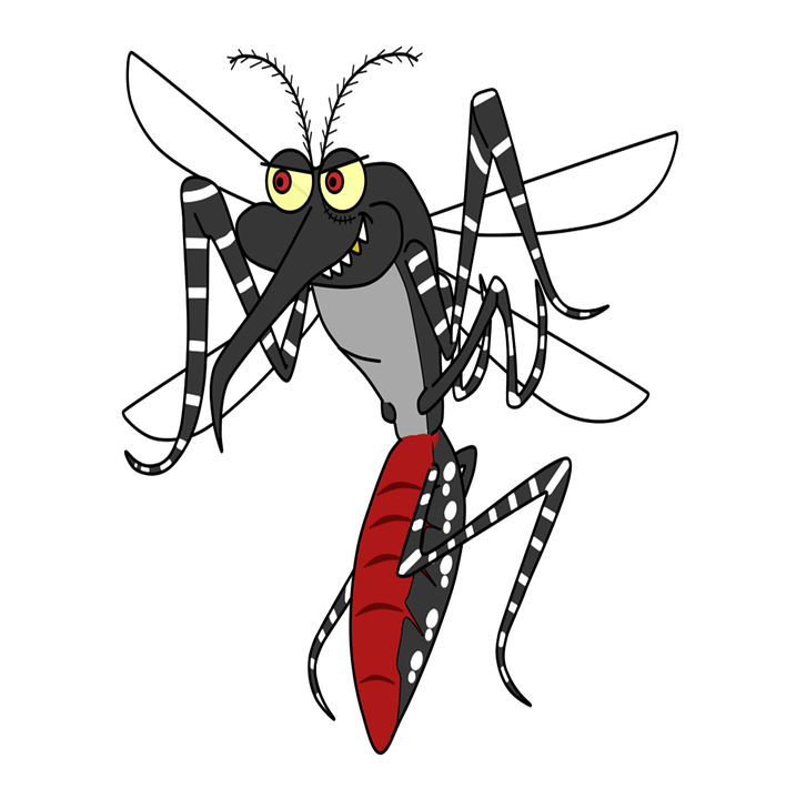 aedes-aegypti-1351001_960_720.png