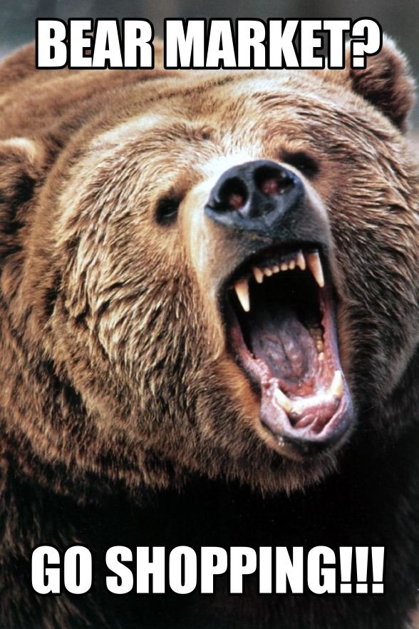 bear market.JPG