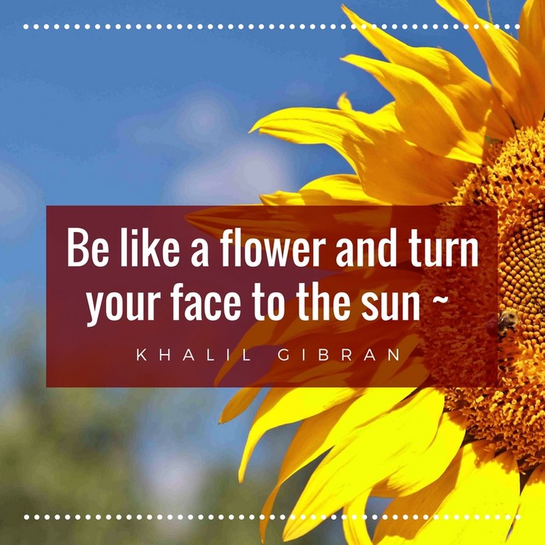 Be like a flower and turn your face to the sun ~.jpg