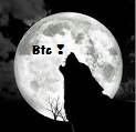 BTC Full Moon Howl.jpg