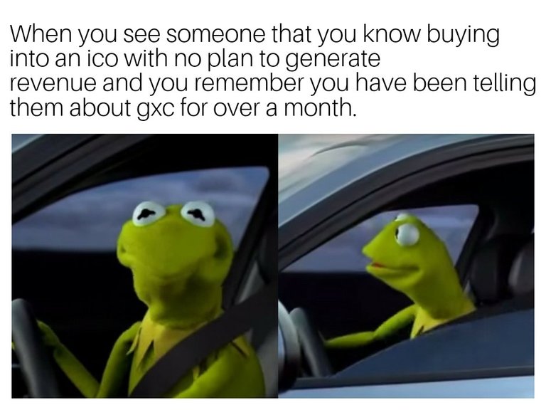 Kermit Driving Away gxc.jpg