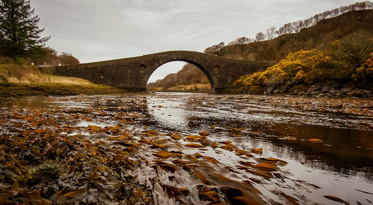 Atlantic Bridge.jpg