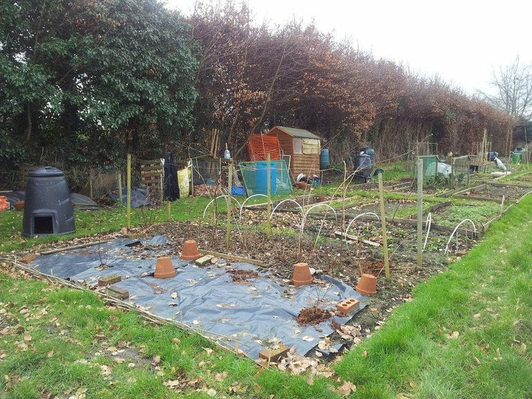 allotment JAN.jpg