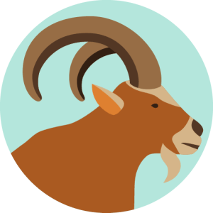 Capricorn-Symbol-300x300.png