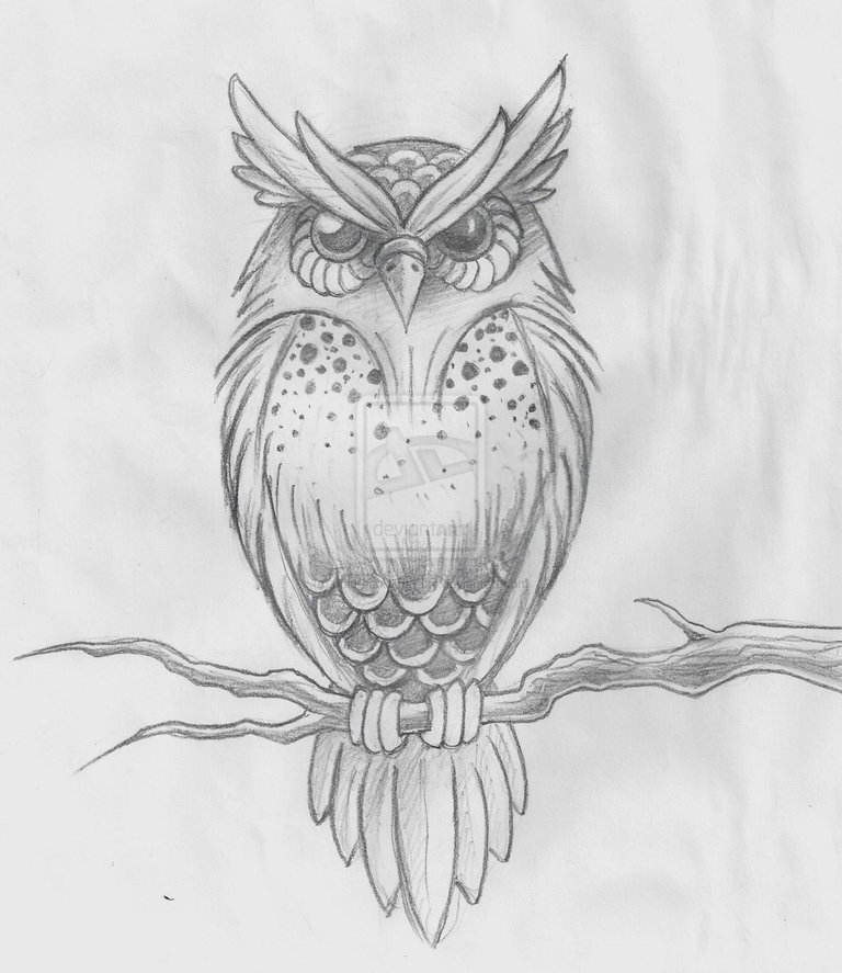 owl-tattoo-designs-overload-tattooed-beautiful-detailed-owl-night-person-hung-now-tattoo-designs-1264049092.jpg