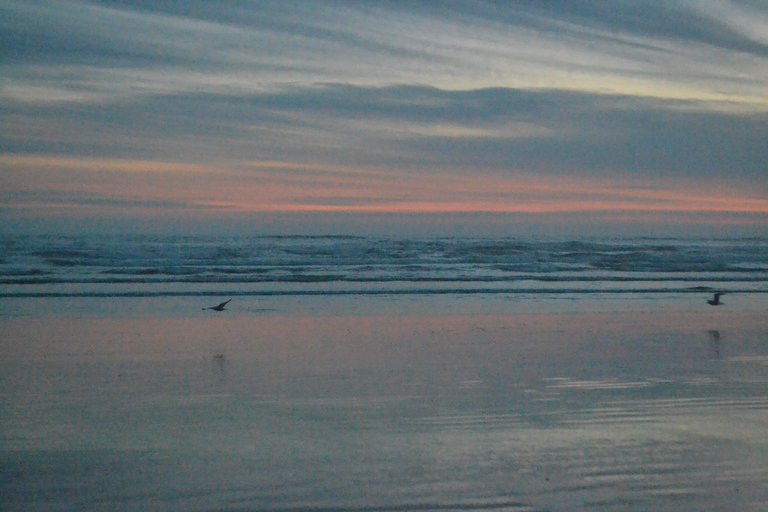 long_beach_tofino.jpg