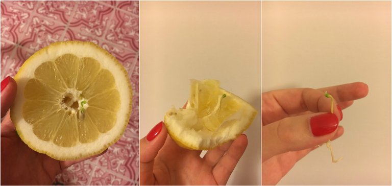 Lemon.jpg