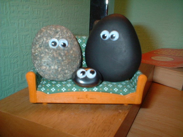 800px-Pet_rock.jpg