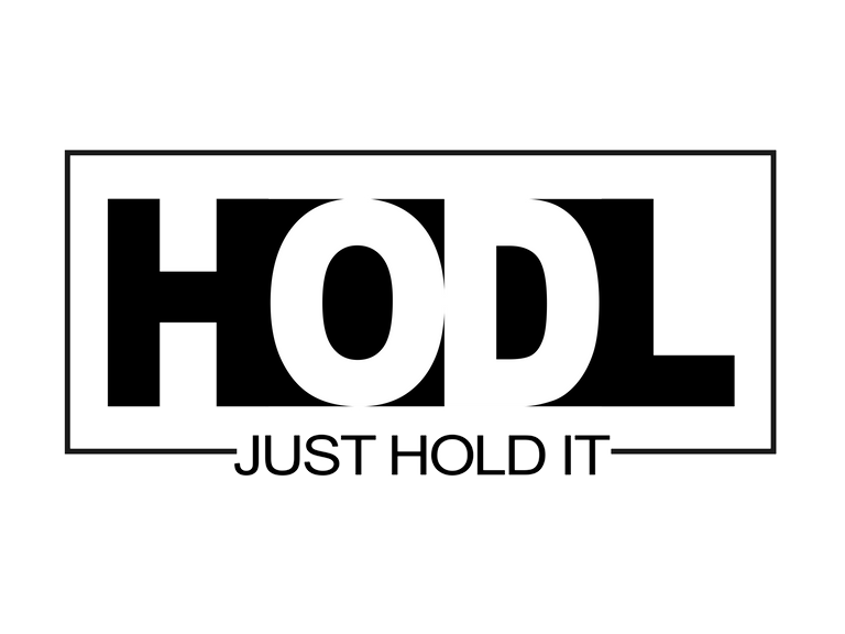 hodl it.png