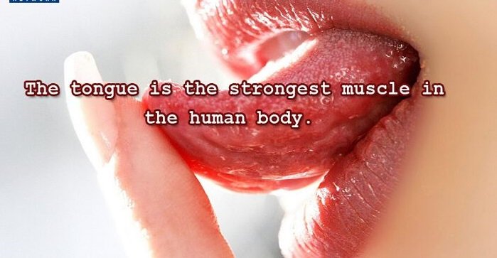 tongue-is-the-strongest-muscle.jpg