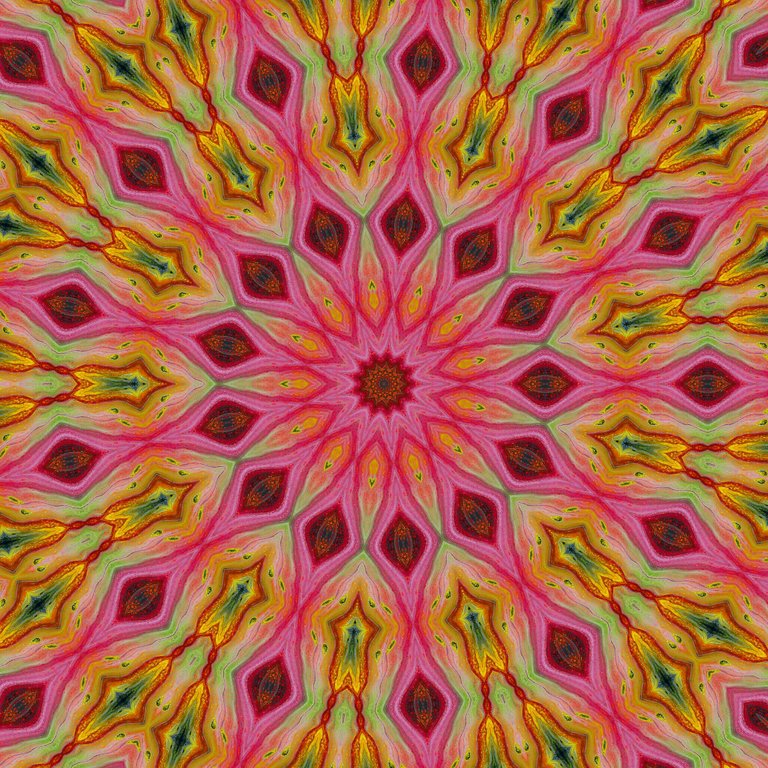 MANDALA6.jpg