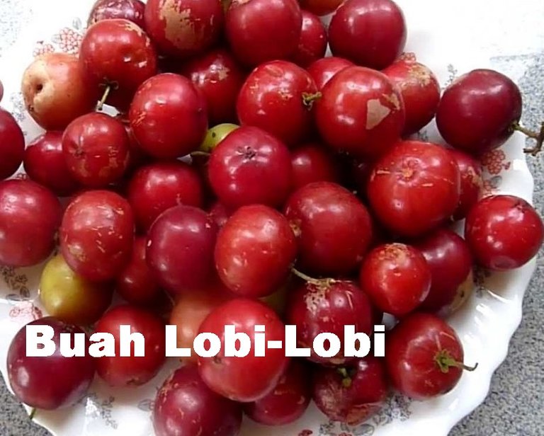 Buah-Lobi-Lobi.jpg