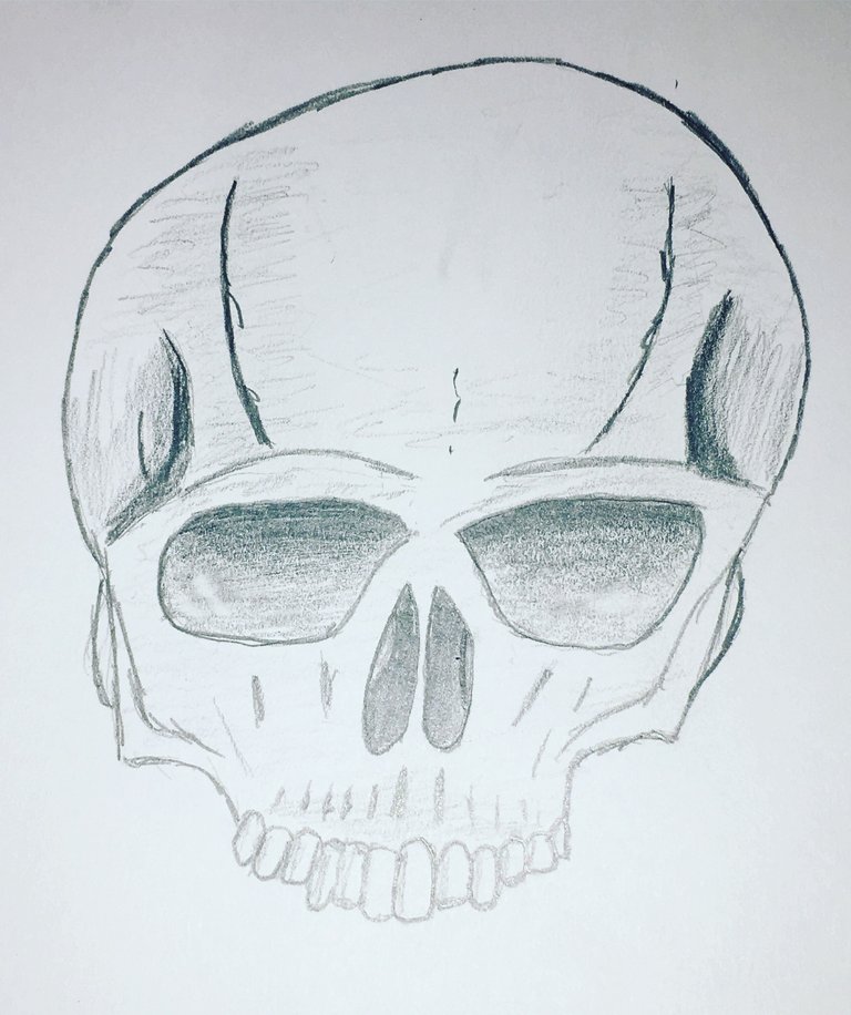 7 Skull.JPG