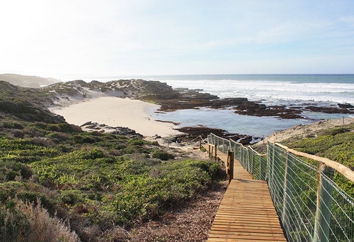 DeHoop_MarineWalk.jpg