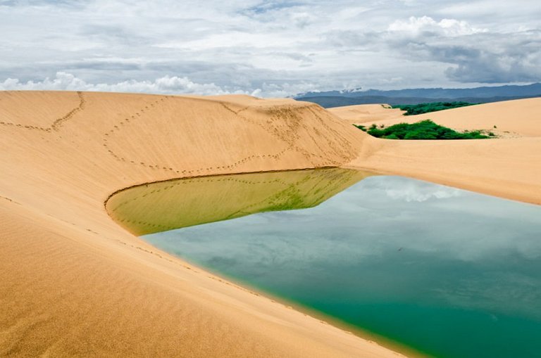 los-medanos-de-coro-un-mini-desierto-del-sahara-en-venezuela.jpg