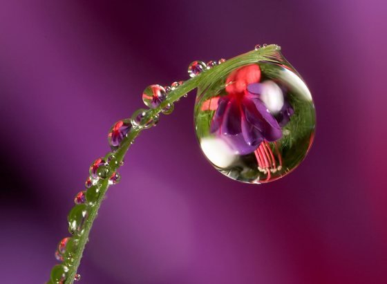 waterdrop_macros_2.jpg