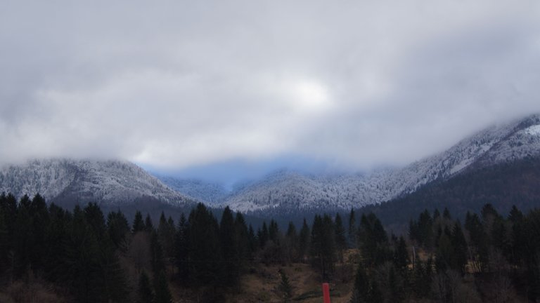DSC07071.JPG