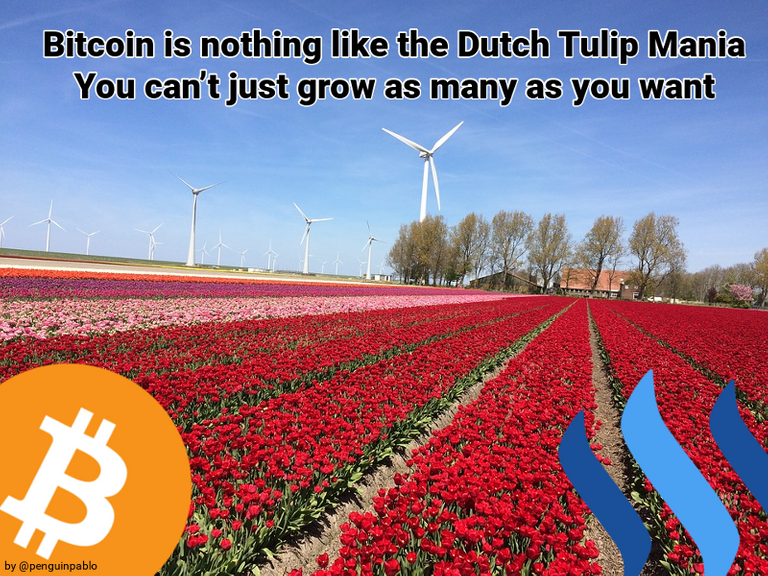 BitcoinTulipMania.png