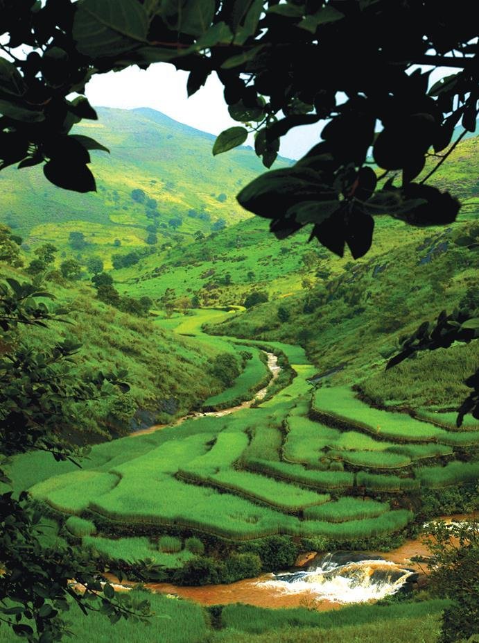 araku valley.jpg