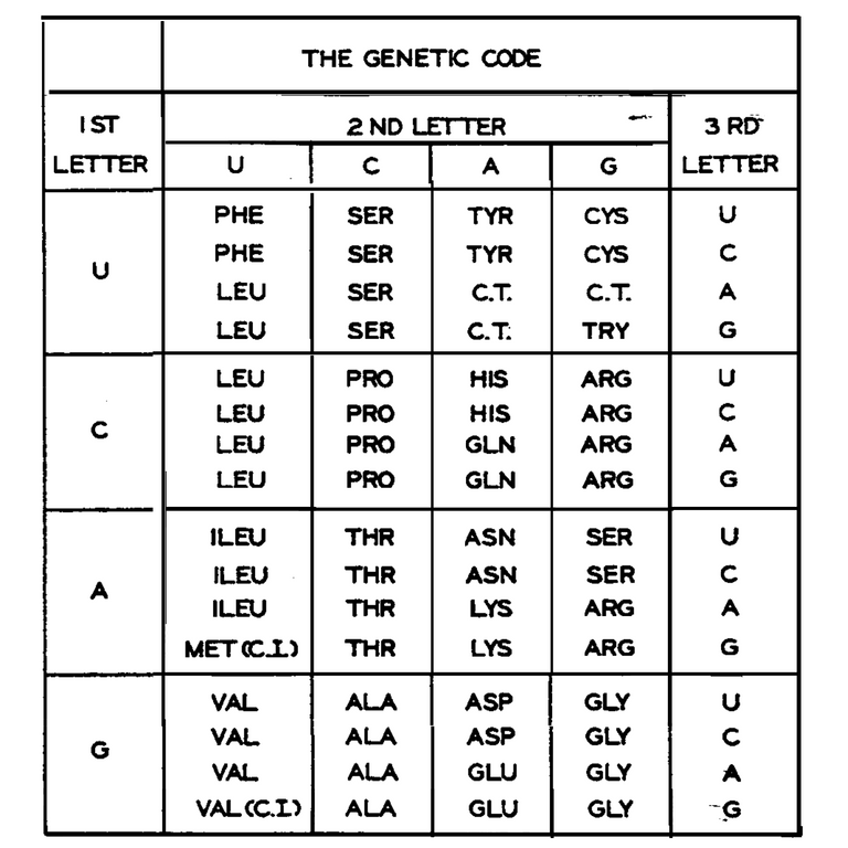 khorana-code.png