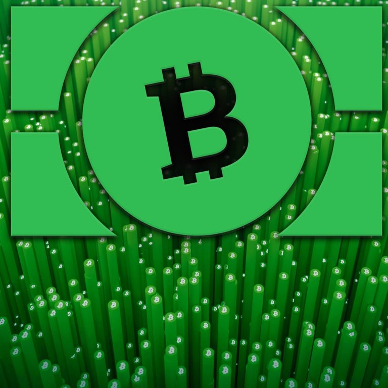 BCH-adoption-1068x1068.jpg