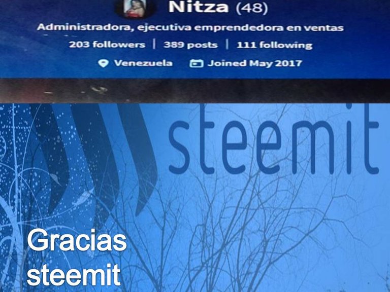 gracias steemit.jpg