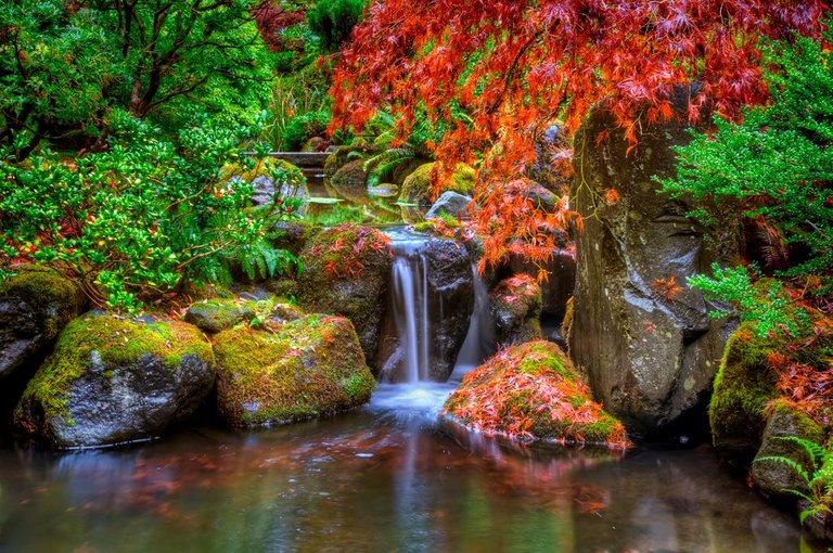 Whatsapp-Portland-Japanese-Garden-Amazing-Image.jpg