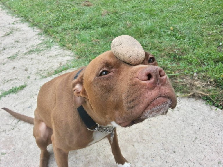 BALANCE A ROCK.jpg