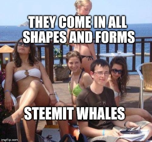 they come in all shapes and forms steemit whales.jpg