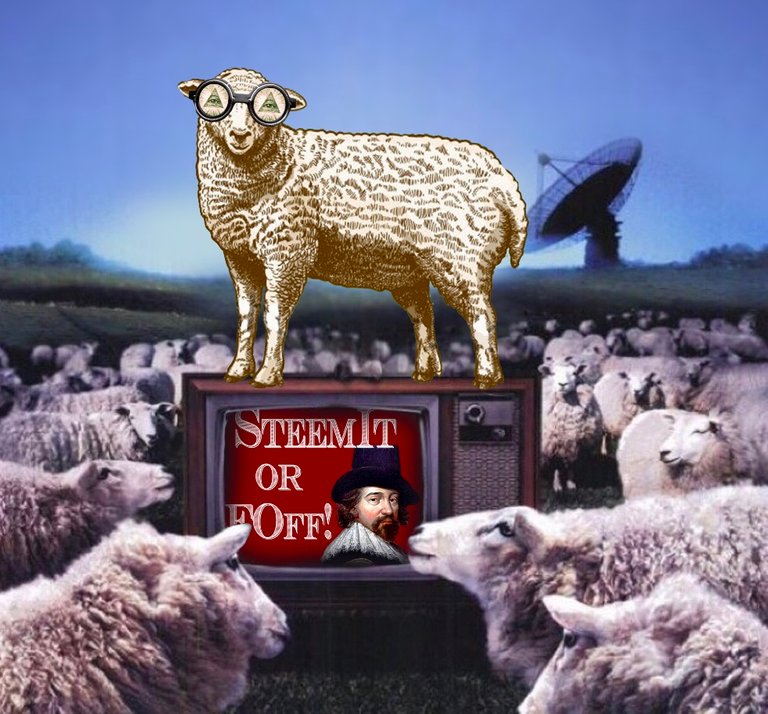 ewe army tv FLAT.jpg