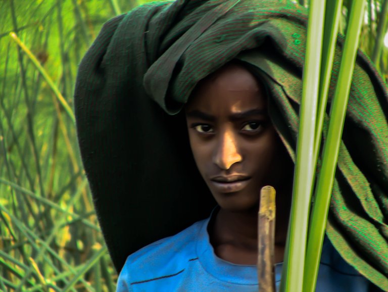 ethiopian field worker.jpg