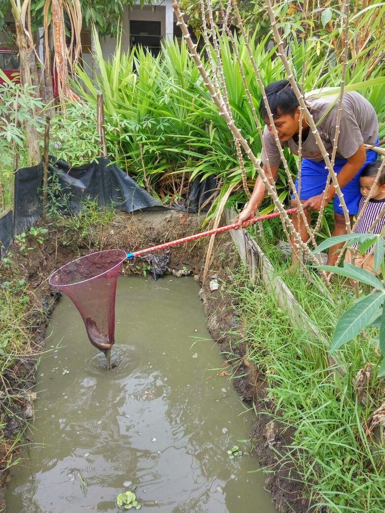 jala ikan mantap.jpg