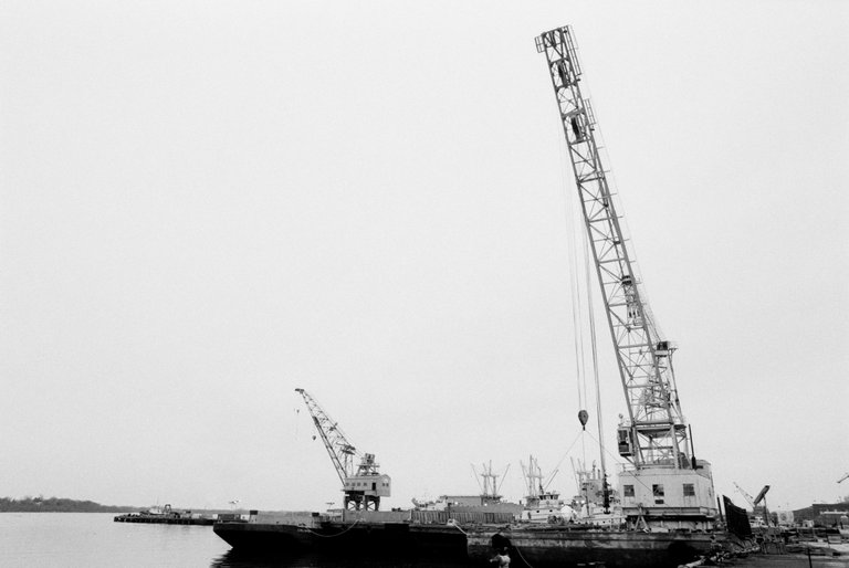 Cranes-29.jpg