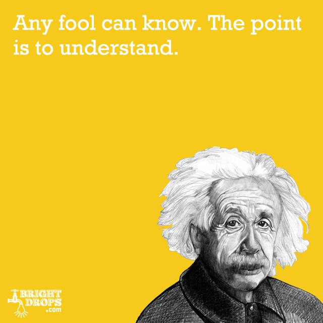 einsteinanyfoolcanknow.jpg