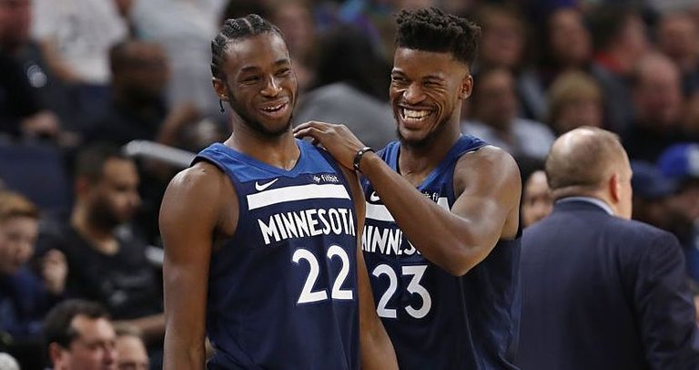 timberwolves.jpg