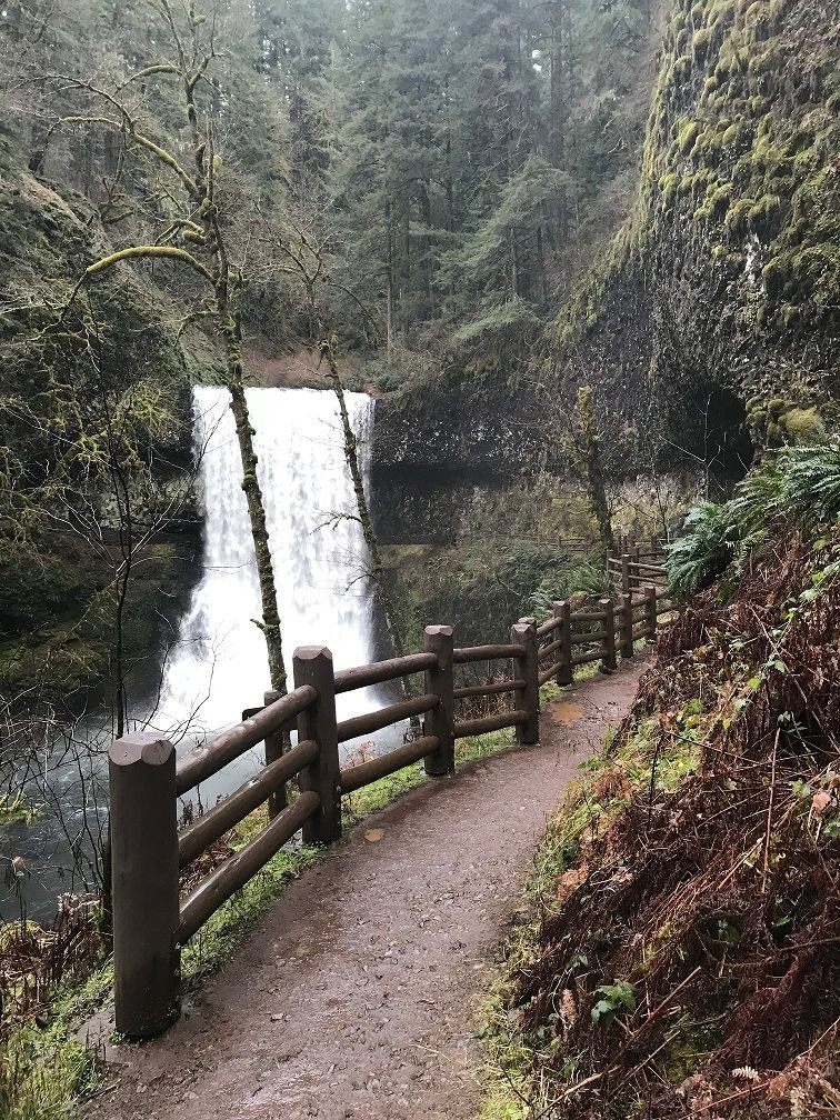 Trail to get behind the waterfall.jpg