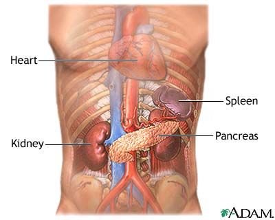 c59839a00fca0a2d7c8e47dda9f04f27--kidney-disease-diet-kidney-cancer.jpg